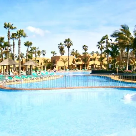 Oasis *